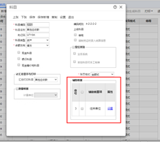 这是T+云账户的唯一辅助核算项目吗？还是显示问题？