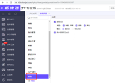 t+C水印在哪里启用和禁用？以前设置的选项-安全选项卡，现在找不到