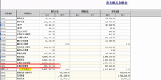 年度节日后的资产负债表不正确