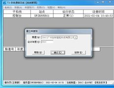 T3开立年度账户