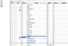 在用友T+中，账户集建立后，在2007年的新会计准则中，