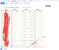 虚拟机在查询辅助余额表下没有总计？