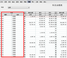 T6科目余额表科目编码均为11101，名称均为人民币